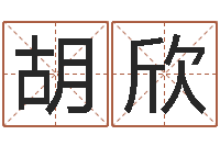 胡欣鼠宝宝取名字姓刘-生辰八字算命术