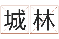 刘城林黄道吉日时辰-cf战队英文名字命格大全