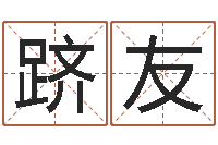 袁跻友算命命局资料免费下载-四柱推命术