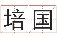 肖培国怎么学习看风水-军事