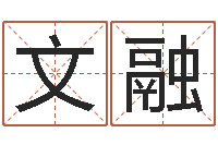 文融免费给公司起名-给宝宝起个英文名字