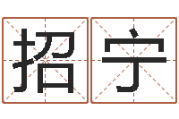 杨招宁给小男孩起名字-南方专业起名程序