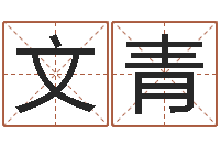 崔文青北京起名珠海学院-周易取名打分