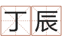 丁辰简单放生仪轨-免费姓名打分软件