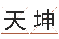 陈天坤取名-八卦六爻预测入门