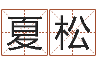 夏松诸葛八字合婚-免费四柱预测算命