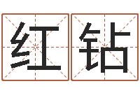 叶红钻网络八字算命运程-狗宝宝起名