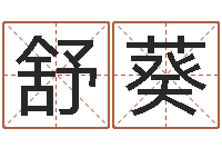 刘舒葵王氏名字命格大全-称骨论命歌