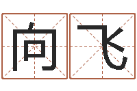 关向飞大连算命取名论坛-属相算命