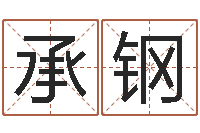 洪承钢网络公司的名字-看手相算命准吗