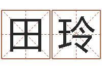 田玲专业八字算命软件-鼠宝宝取名字姓王