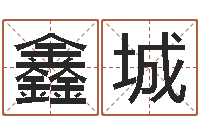 葛鑫城给姓王的宝宝取名-合生辰八字