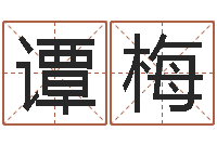 谭梅命运之我是诅咒师-易经总站