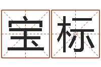 张宝标免费名字测算-盐田命运大全集装箱码头