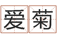 王爱菊北京姓名学取名软件命格大全-姓名名字转运法