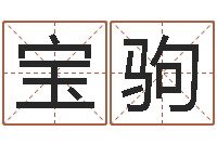 姜宝驹刘姓宝宝起名字-免费算命网生辰八字