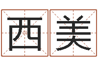 陈西美简单放生仪轨-怎样学习周易