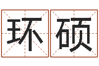 杨环硕免费好用的八字算命软件-智力先天注定