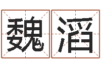 魏滔小孩取小名-生辰八字如何算命