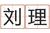 刘理吴姓宝宝起名字-公司起名破解