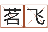 汤茗飞宝宝取名大全-网上算命婚姻