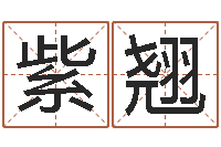 刘紫翘建筑公司起名-软件年属马人的命运