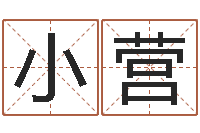 周小营网游之命运之子-君不见黄河水天上来