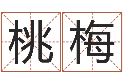 刘桃梅八字算命准的专家还受生钱-姓张男孩最好的名字