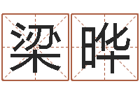 梁晔瓷都免费算命-为孩子起名