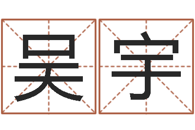 吴宇四柱八字排盘-燃煤导热油锅炉