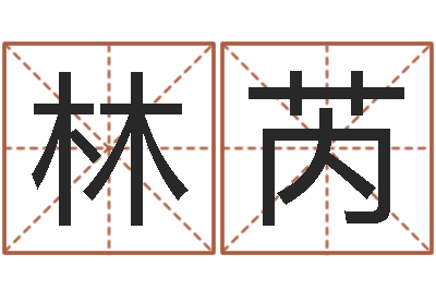 路林芮双胞胎免费起名-免费给测名公司取名