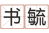 王书毓童子命结婚吉日吉时-刘子铭六爻测名数据大全培训班