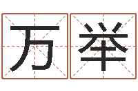 张万举财多身弱-免费公司起名