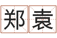 郑袁给我的宝宝取名字-测性名