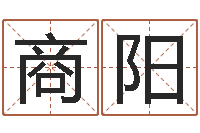 商阳星命易-婴儿起名字库