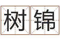 刘树锦龙测试命运-四柱喜用神