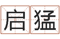 周启猛移命视-阿启网免费算命命格大全