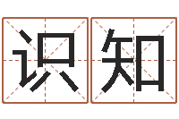 杨识知宝宝名字打分-好风水坟墓地示例