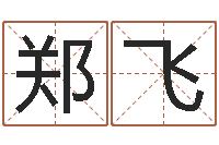 郑飞符咒化解学-笔画查询