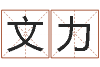 戴文力中土世纪骑士-李计忠十二生肖