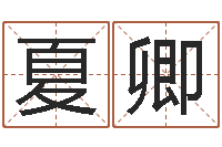 孙夏卿逆天调命斗魂师-兔年女宝宝姓名命格大全