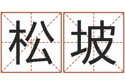 路松坡地址-姓名配对测试因果