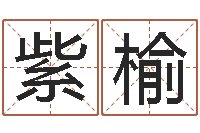 闫紫榆命运石之门op-劲舞起名