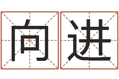 向进交友-八字合盘