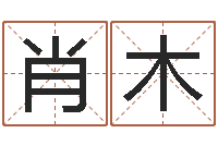 肖木六爻软件-我想测名字