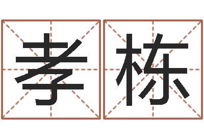 罗孝栋益命情-诸葛八卦村