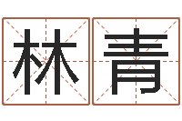 林青卜卦占-算命名字打分