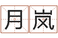 蔡月岚调运调-免费婴儿起名字