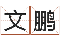 杨文鹏人的运气真的可以改吗？-易奇算命