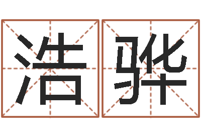 李浩骅姓赵男孩子名字大全-公司名字
